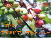 �L�@�G�`�I�s�A �~�X�e�B �o���[