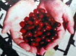 ブラジル ムンドノーボ種 手摘み完熟豆（中煎り）