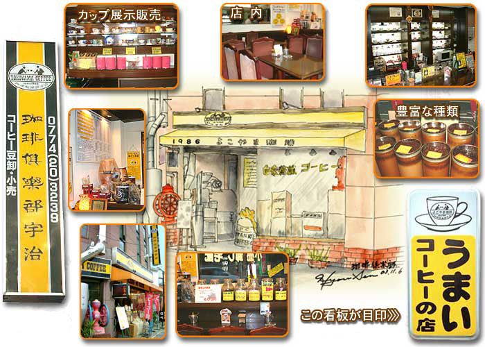 カップ展示販売・豊富な種類